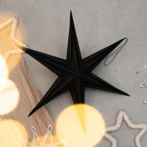 Papierstern I black beauty