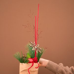 Amaryllis rot I classic