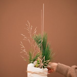 Amaryllis weiß I classic