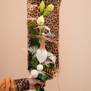 Amaryllis I Nikolaus