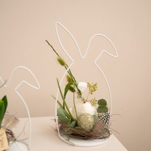 kleines Häschen I groß