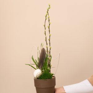 Pflanzung I kleines Häschen