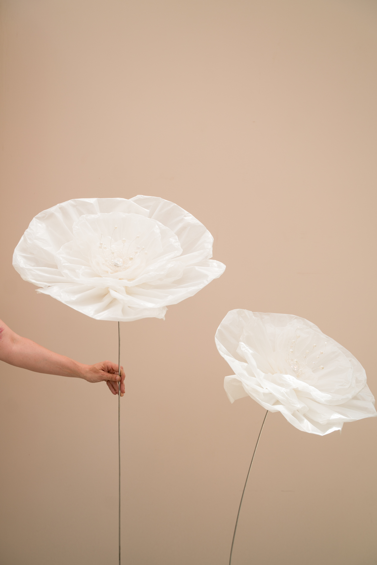 WORKSHOP Paperflower I Stadtlauringen