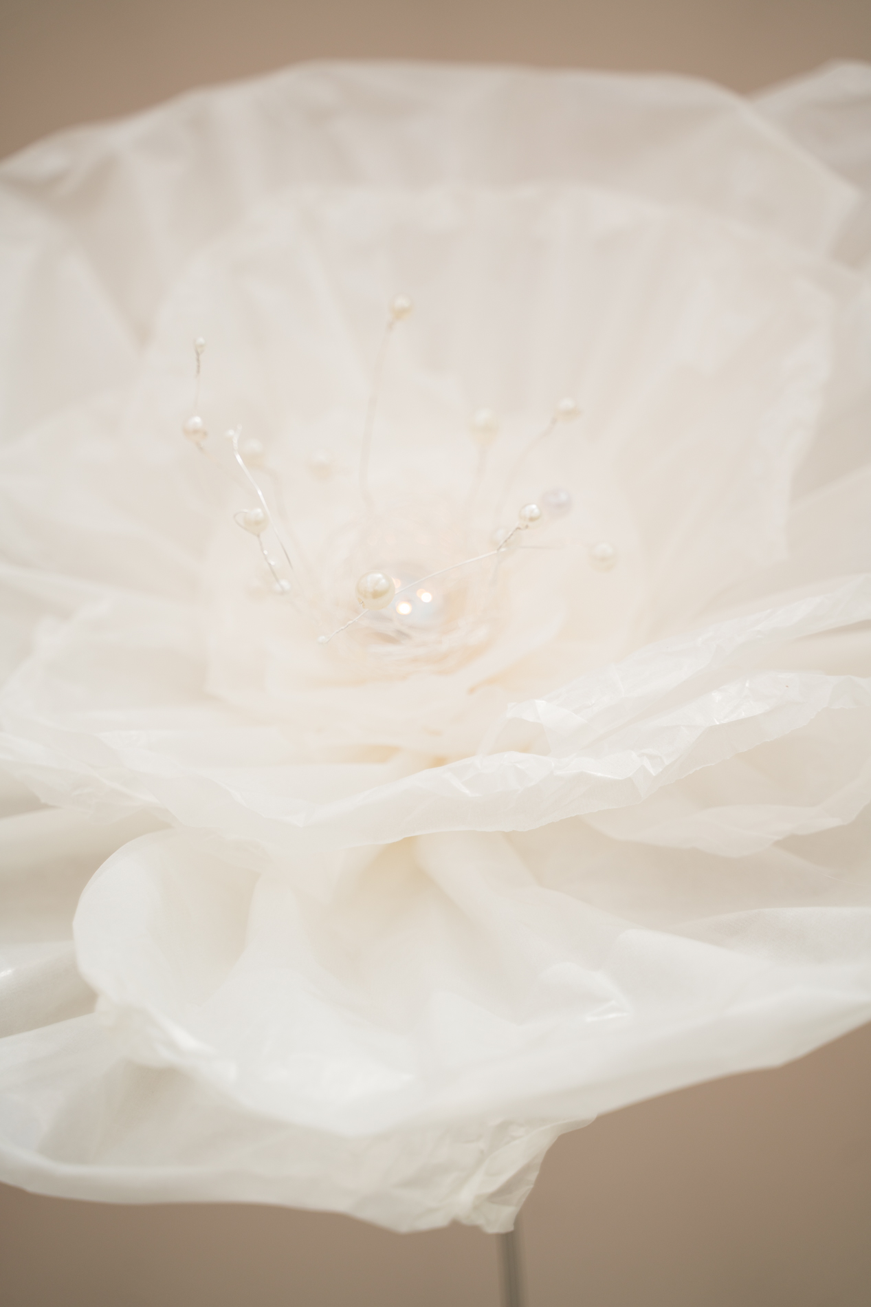 WORKSHOP Paperflower I Stadtlauringen – Bild 2