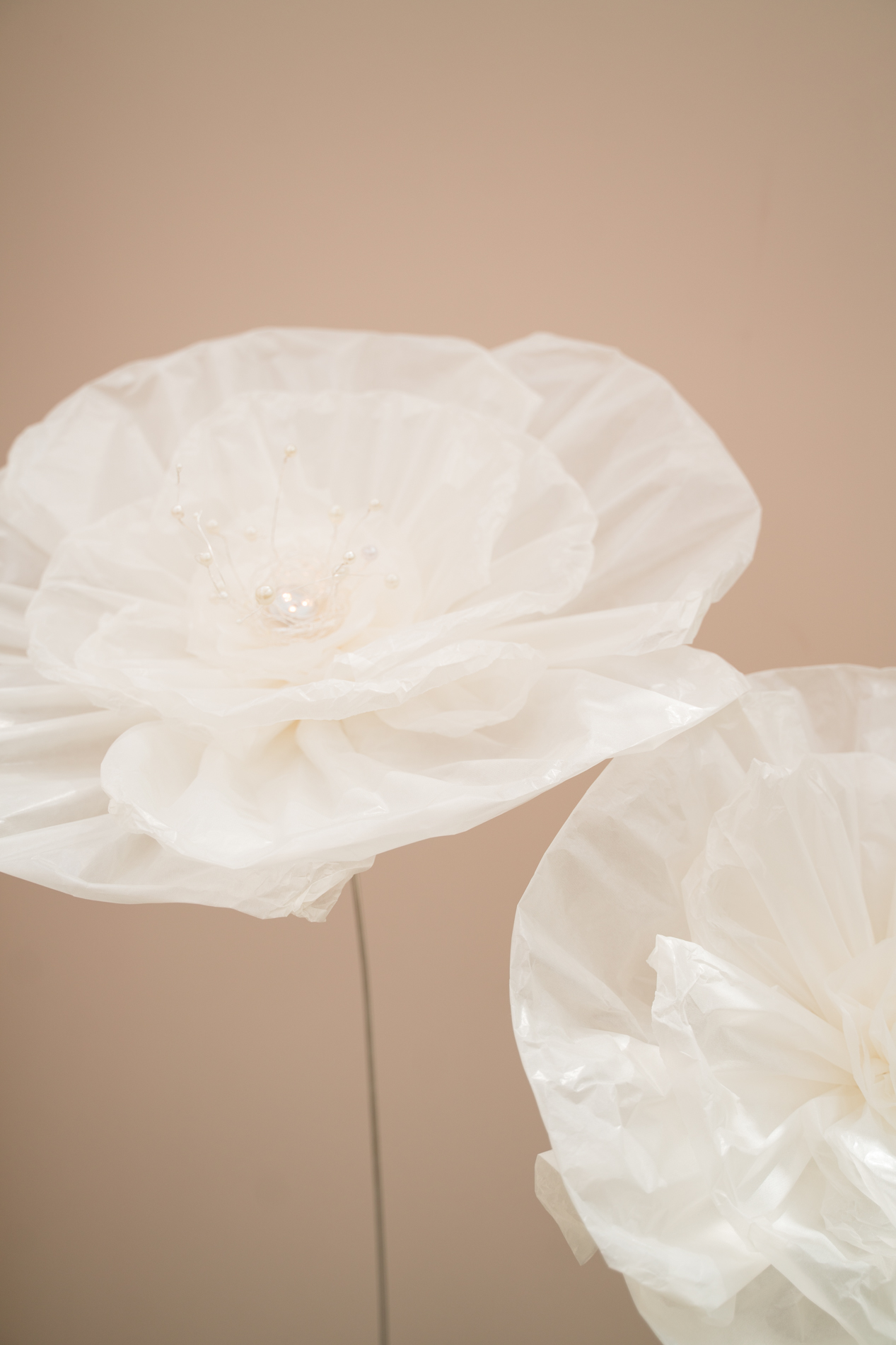WORKSHOP Paperflower I Stadtlauringen – Bild 6